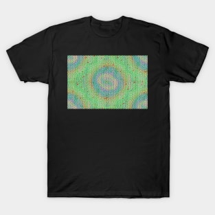 Green, Blue And Other Spring Colors T-Shirt